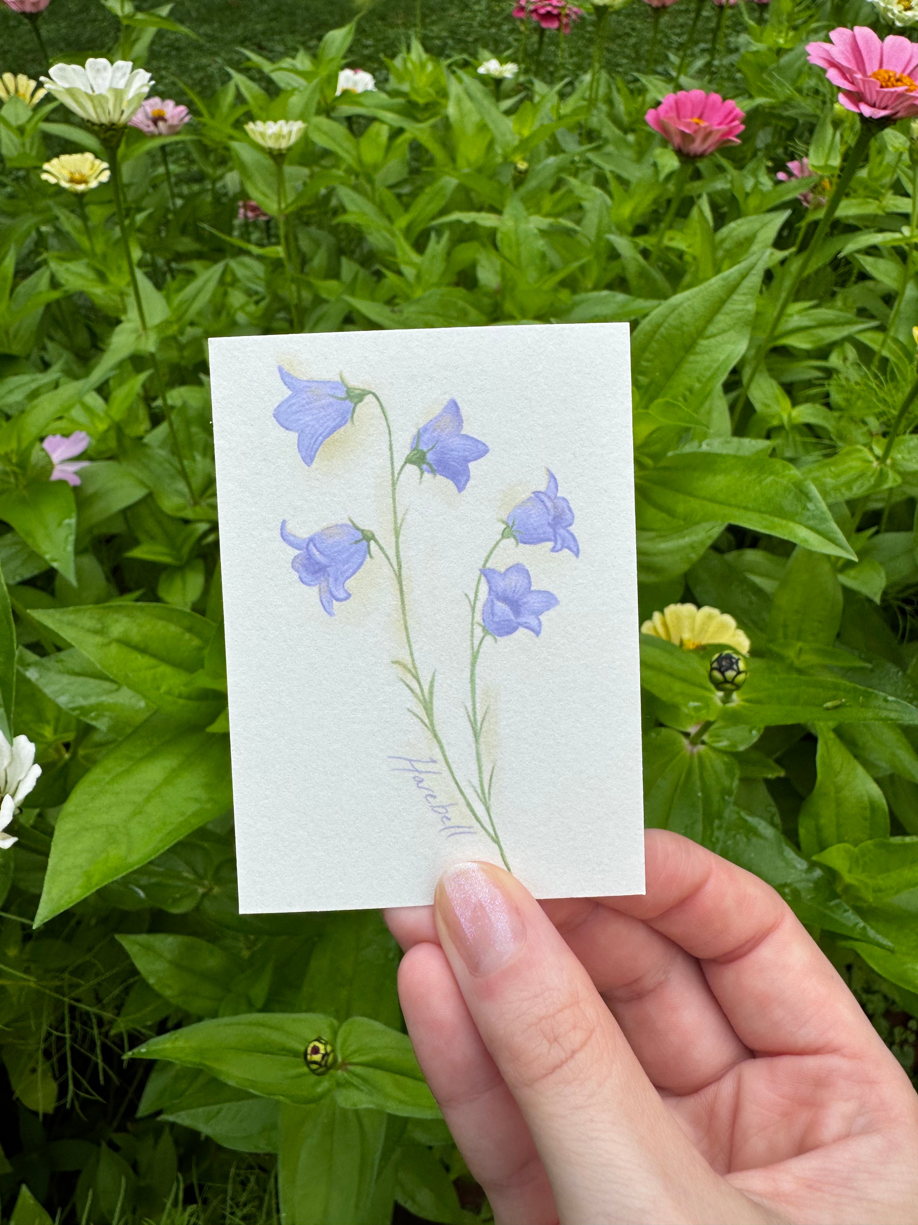 Mini Prints