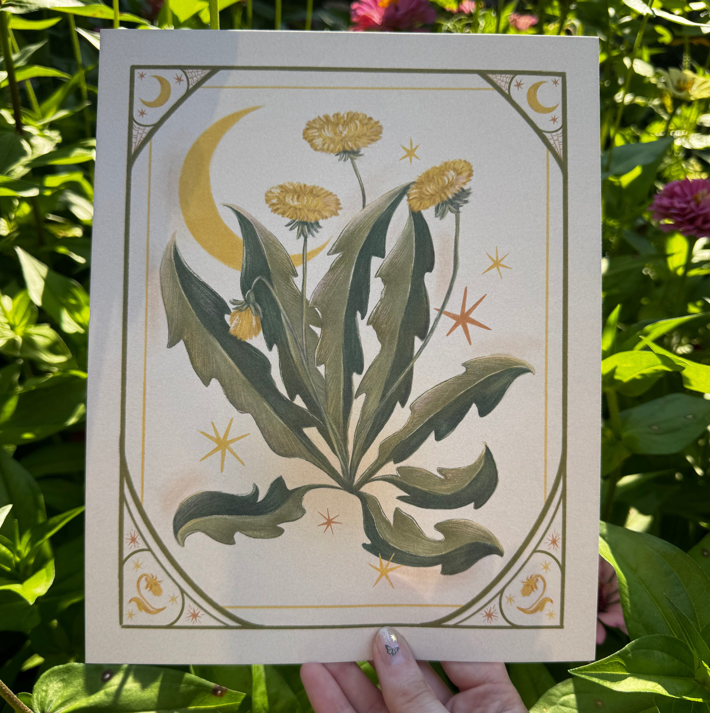 Dandelion Print