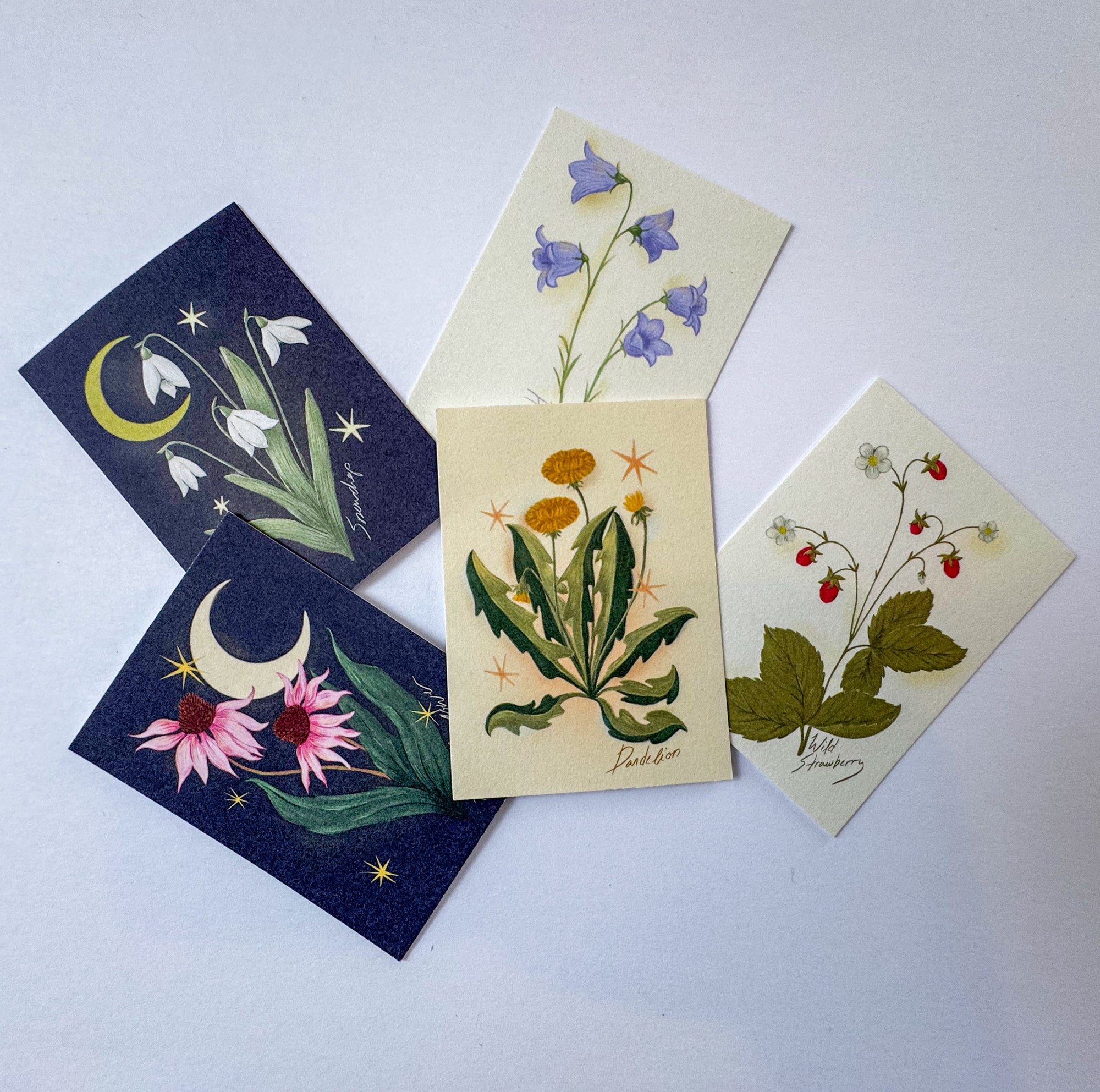 Mini Prints