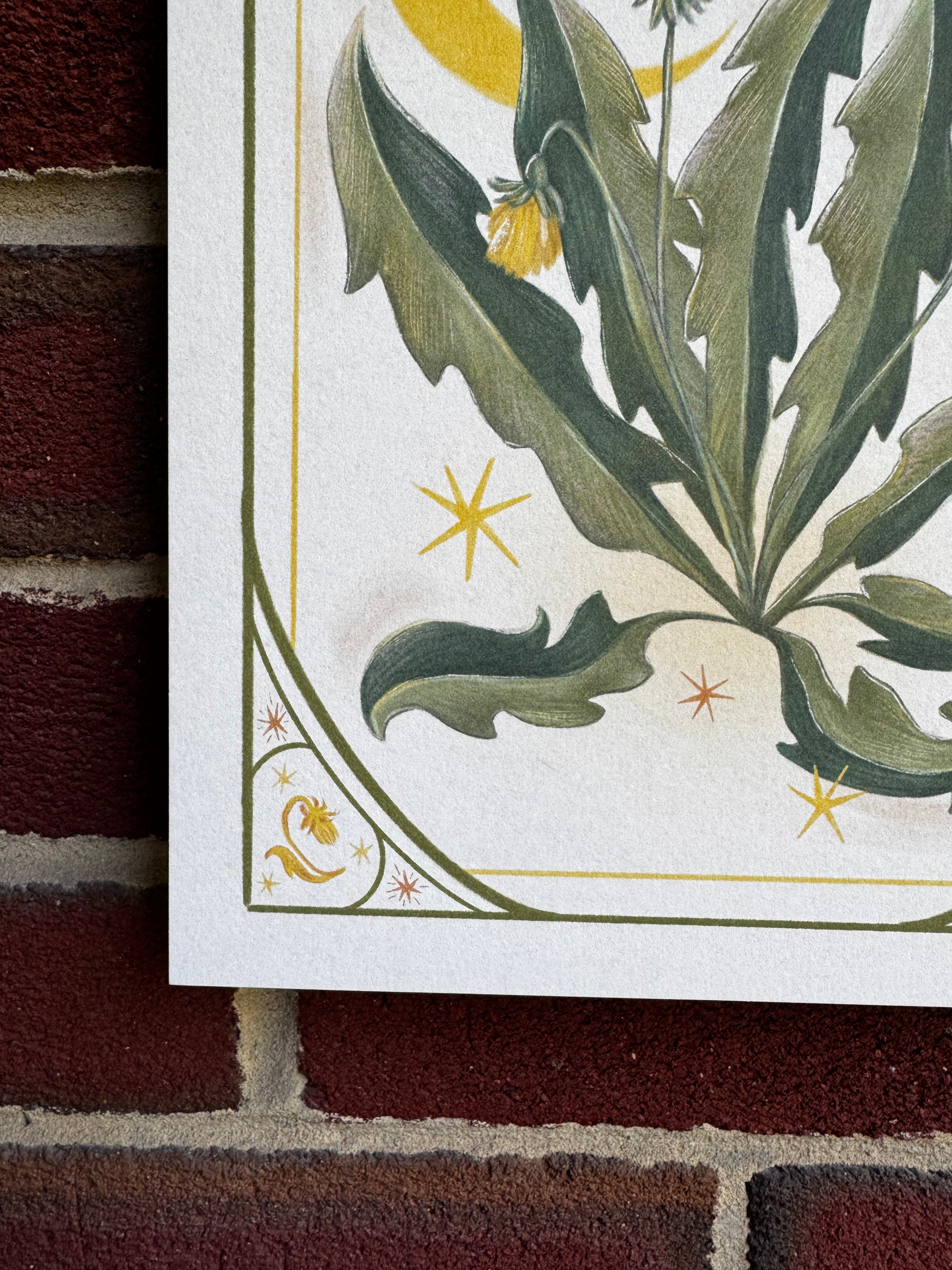 Dandelion Print