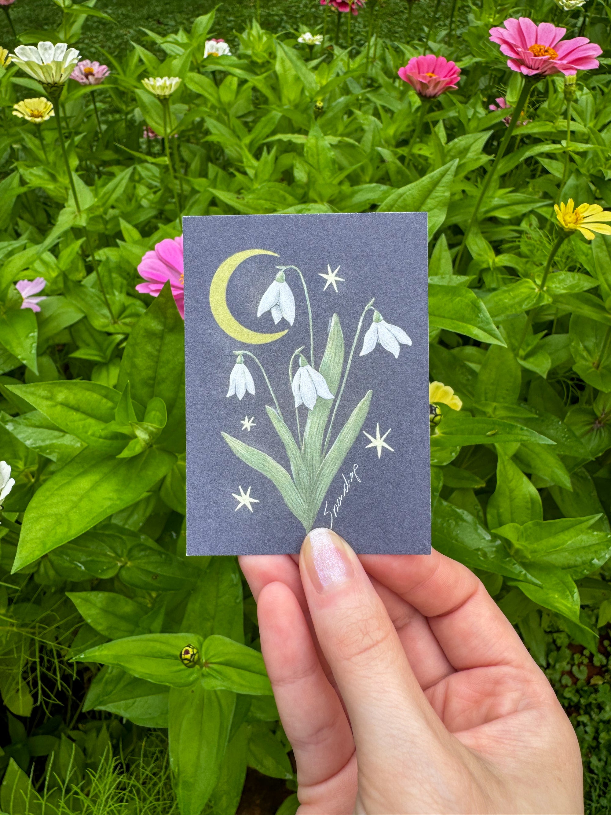 Mini Prints