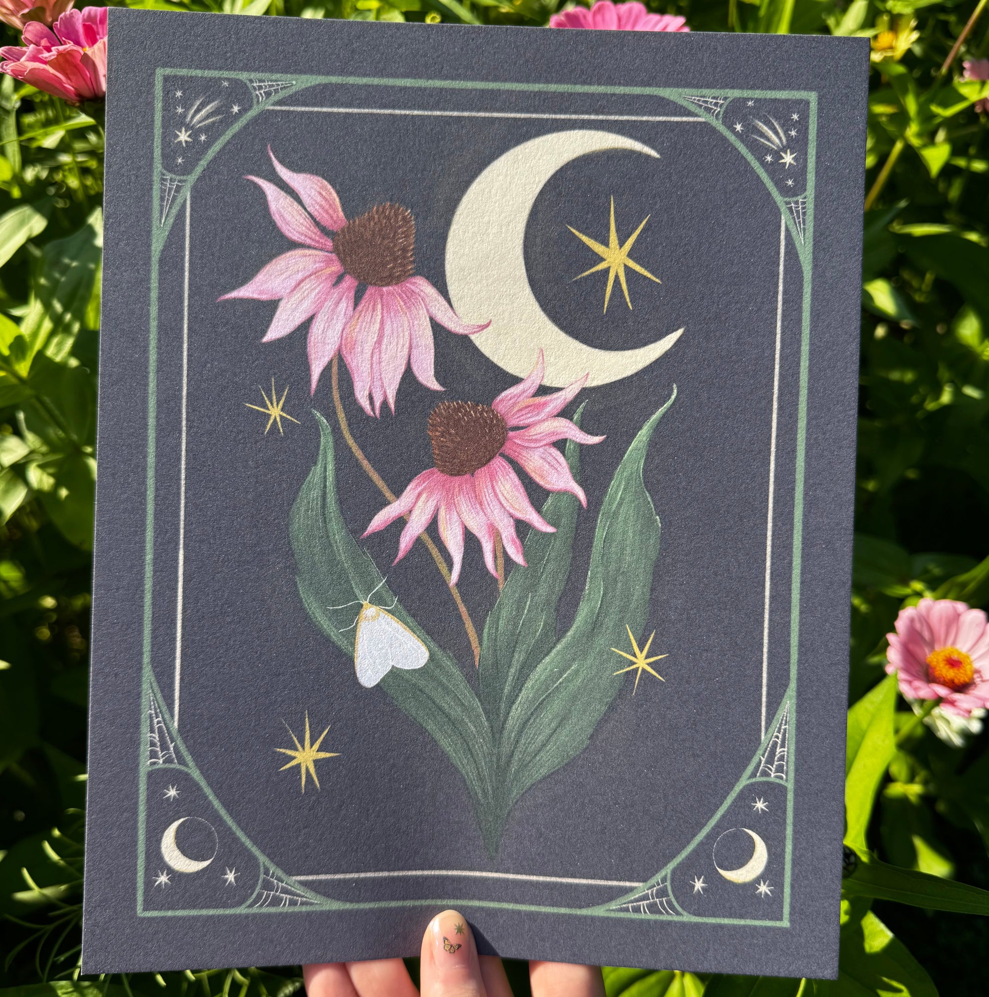 Purple Coneflower Print