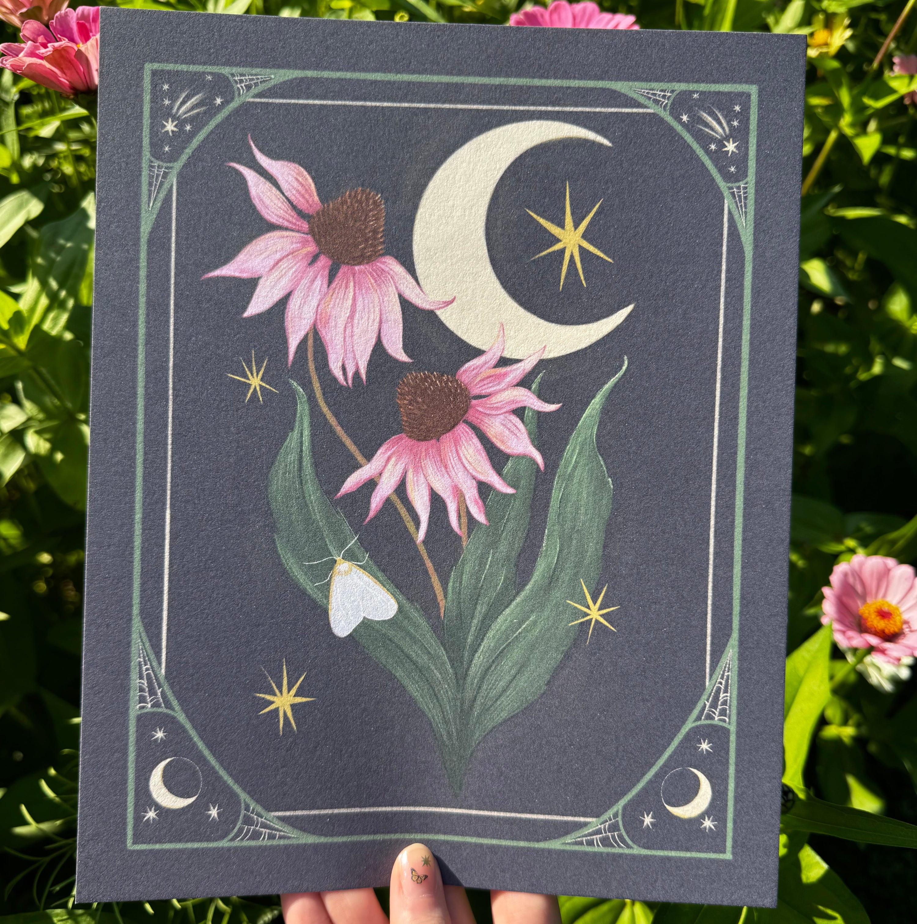 Purple Coneflower Print