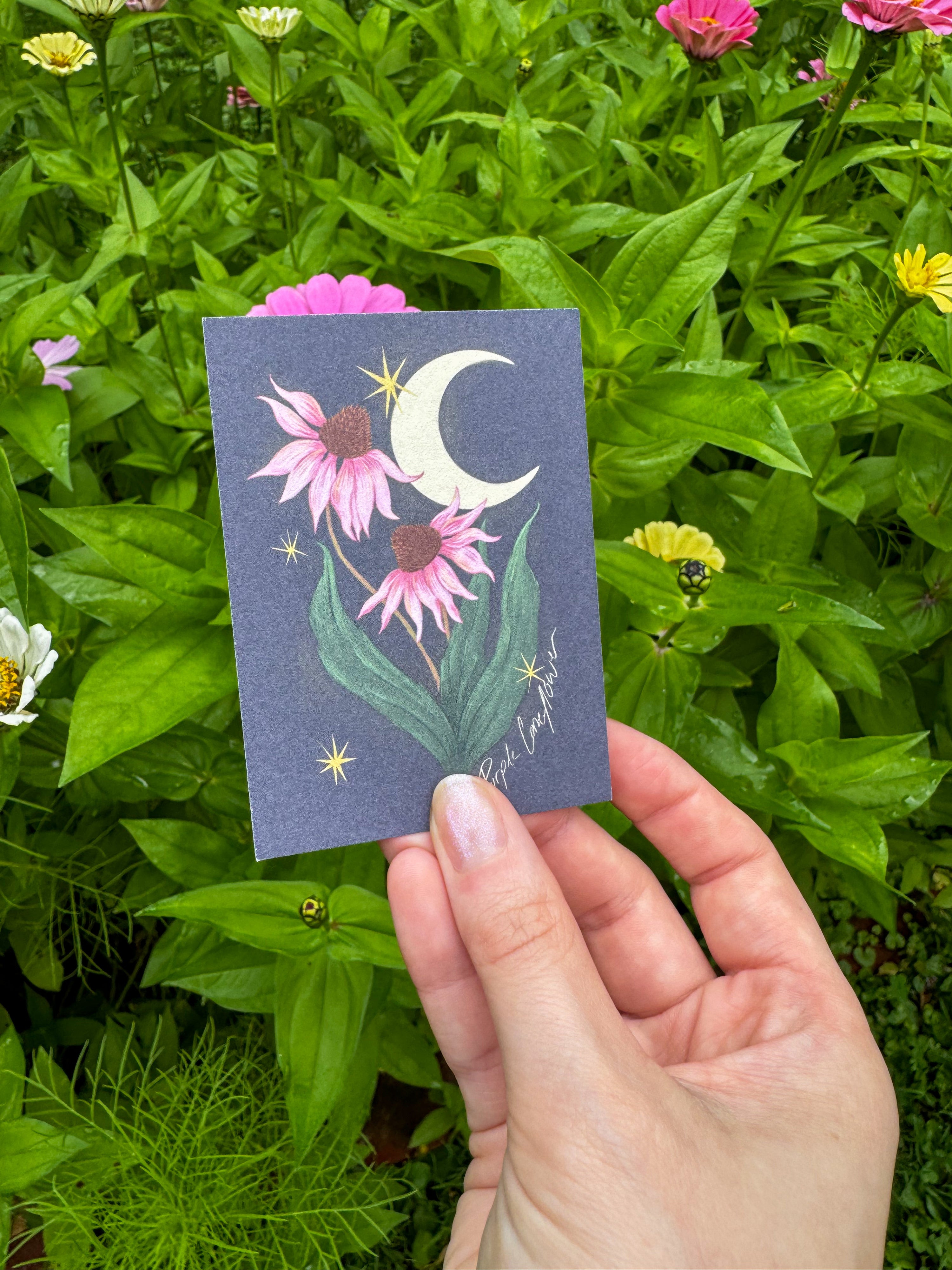 Mini Prints