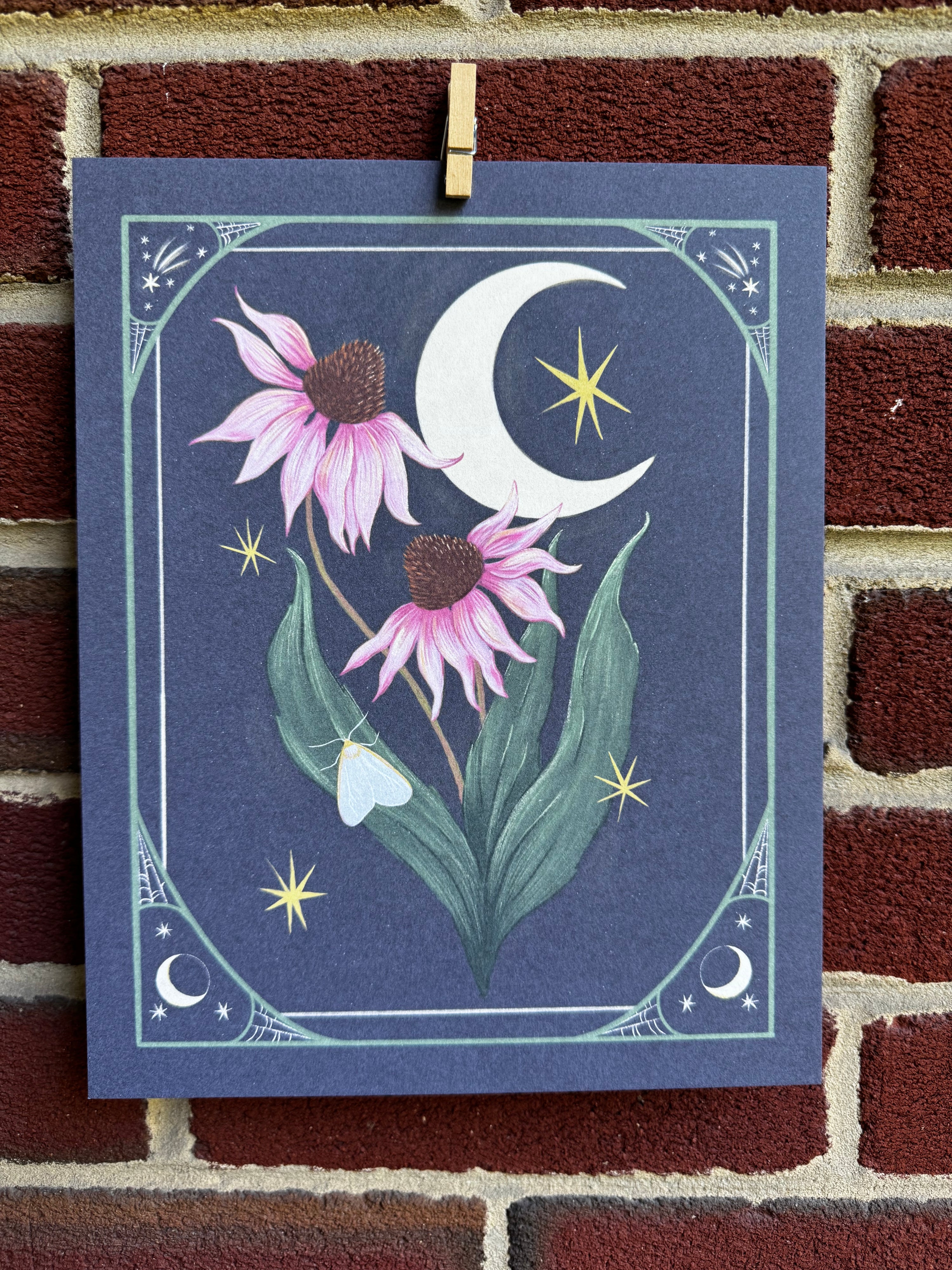 Purple Coneflower Print