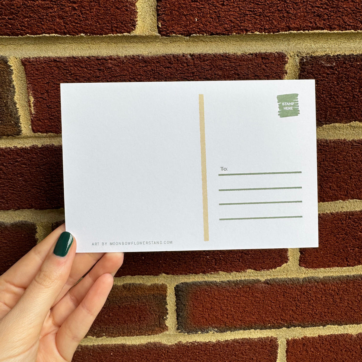 Bawk Postcard