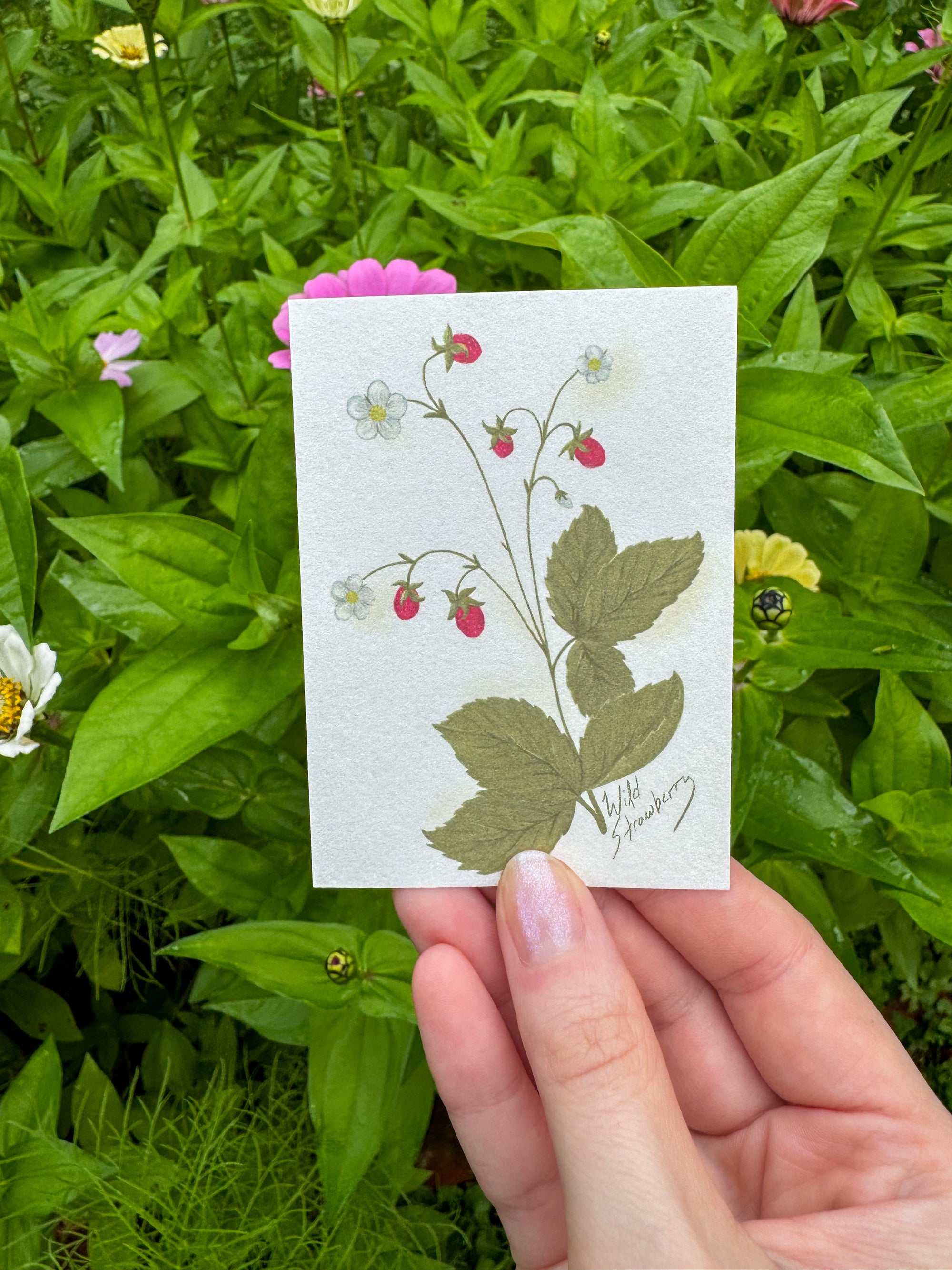 Mini Prints