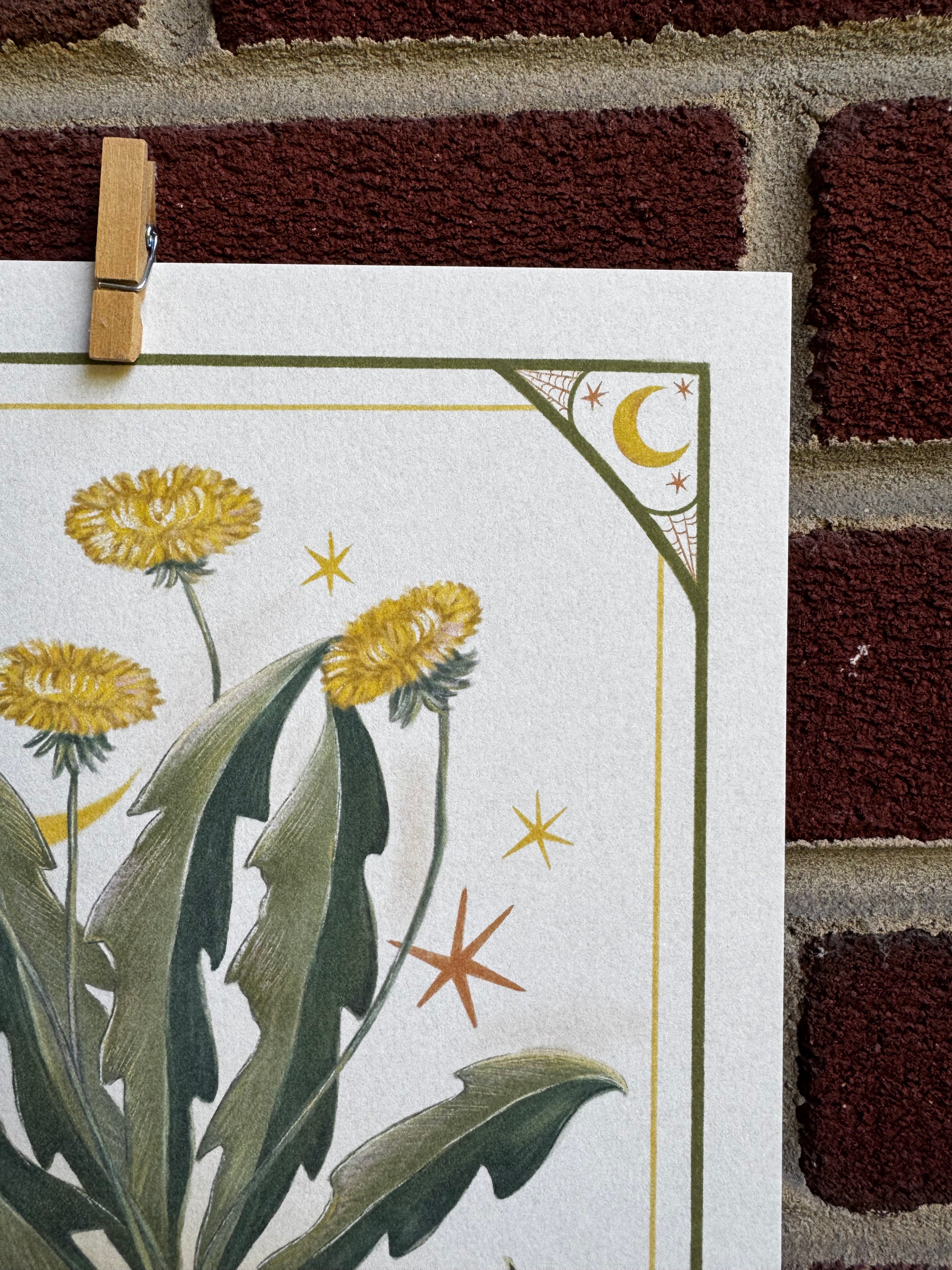 Dandelion Print