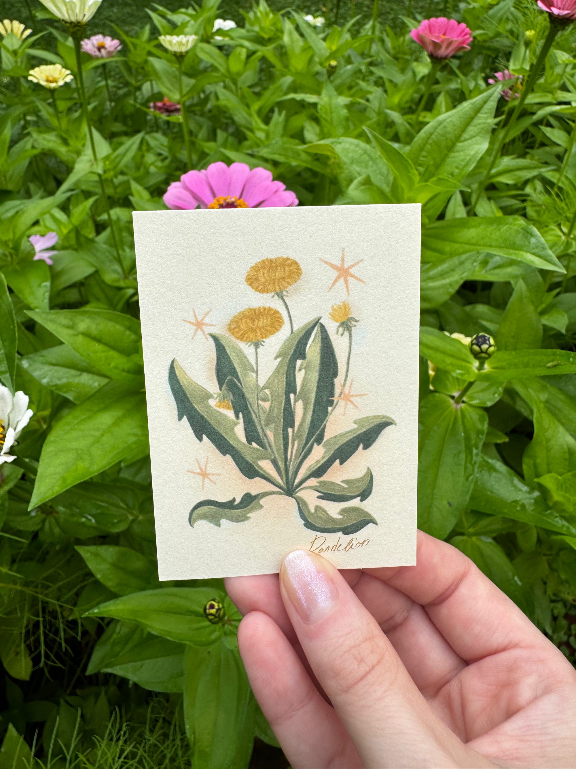 Mini Prints